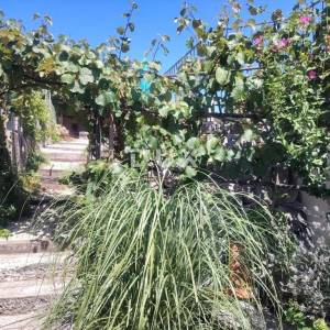 MATULJI (okolica) - unikatna villa s bazenom i ogromnom okućnicom
