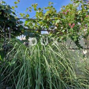 MATULJI (okolica) - unikatna villa s bazenom i ogromnom okućnicom