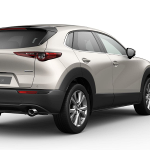 Mazda CX-30 5WGN 2.5L e-SKYACTIV G 140ps 6MT FWD Centre-Line DASO