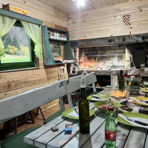 OGULIN, JASENAK - Planinsko imanje s dvije kuće, bazenom i turističkim potencijalom, Bjelolasica