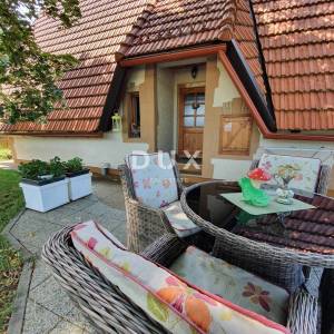 OGULIN, JASENAK - Planinsko imanje s dvije kuće, bazenom i turističkim potencijalom, Bjelolasica
