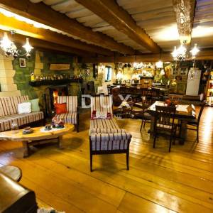 OGULIN, JASENAK - Planinsko imanje s dvije kuće, bazenom i turističkim potencijalom, Bjelolasica
