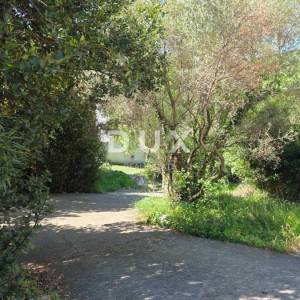 OPATIJA, BRSEČ - Autentična kamena kuća s dva apartmana, 76m2