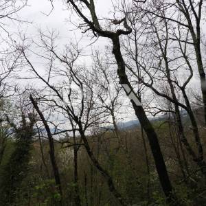 OPATIJA, MATULJI- građevinsko zemljište 889m2 S LOKACIJSKOM DOZVOLOM!!! za obiteljsku kuću/ stambenu zgradu- stanove