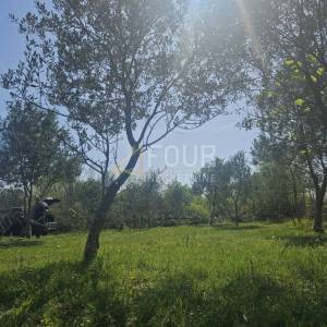 Otok Krk, Dobrinj, poljoprivredno zemljište 2230m2