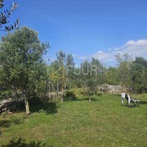Otok Krk, Dobrinj, poljoprivredno zemljište 2230m2