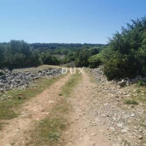 OTOK KRK, GRAD KRK - Maslinik na atraktivnoj lokaciji
