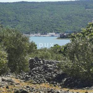 OTOK KRK, GRAD KRK - Maslinik na atraktivnoj lokaciji