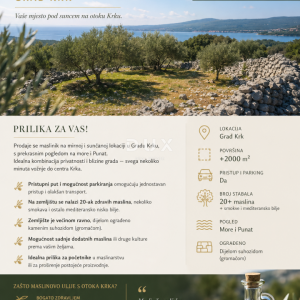 OTOK KRK, GRAD KRK - Maslinik na atraktivnoj lokaciji