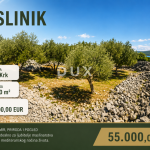 OTOK KRK, GRAD KRK - Maslinik na atraktivnoj lokaciji