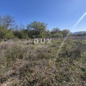 OTOK KRK, LINARDIĆI - zemljište 4812 m2 za najam