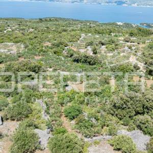 Poljoprivredno zemljište, 4.834 m2, Splitska, Brač