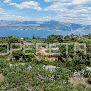Poljoprivredno zemljište, 4.834 m2, Splitska, Brač