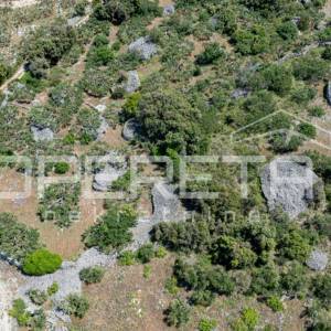 Poljoprivredno zemljište, 4.834 m2, Splitska, Brač