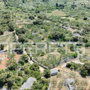 Poljoprivredno zemljište, 4.834 m2, Splitska, Brač