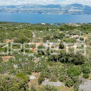 Poljoprivredno zemljište, 4.834 m2, Splitska, Brač