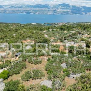 Poljoprivredno zemljište, 4.834 m2, Splitska, Brač