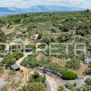 Poljoprivredno zemljište, 4.834 m2, Splitska, Brač