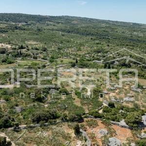 Poljoprivredno zemljište, 4.834 m2, Splitska, Brač