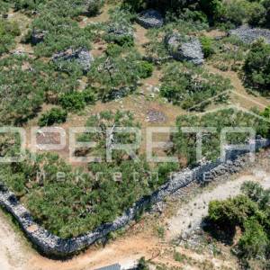 Poljoprivredno zemljište, 4.834 m2, Splitska, Brač