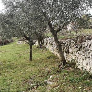 Prodaja građevinskog zemljišta sa pogledom na more, Fažana!
