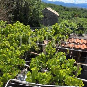 Prodaja kuće Bribir | Balkon, parking, pogled na more