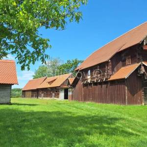 Prodaja,Popovača,tradicijska drvena kuća 183m2 + pomoćni objekti