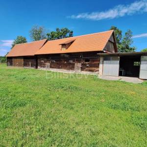 Prodaja,Popovača,tradicijska drvena kuća 183m2 + pomoćni objekti
