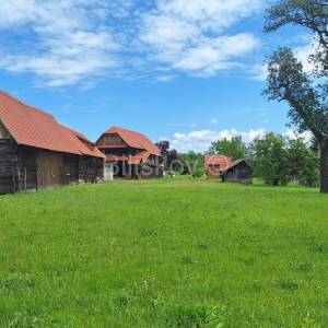 Prodaja,Popovača,tradicijska drvena kuća 183m2 + pomoćni objekti