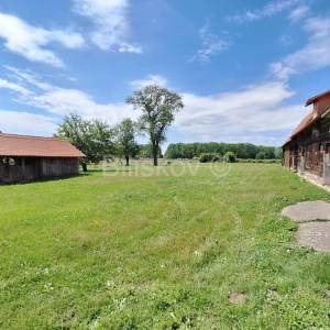 Prodaja,Popovača,tradicijska drvena kuća 183m2 + pomoćni objekti