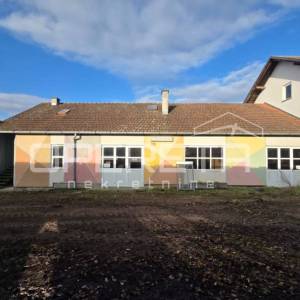 Prostrana kuća s velikim gospodarskim objektima u Repušnici