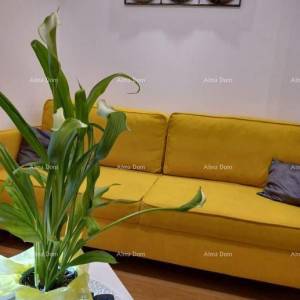Pula, 2-sobni stan u centru, 31 m² + terasa i vrt