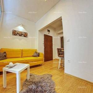 Pula, 2-sobni stan u centru, 31 m² + terasa i vrt