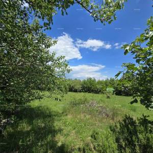 Rakalj, kamena kuća s 1.920 m² građevinskog zemljišta