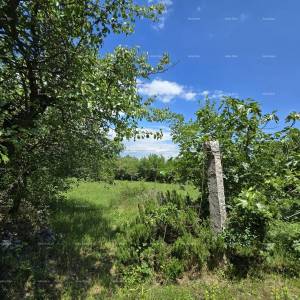 Rakalj, kamena kuća s 1.920 m² građevinskog zemljišta