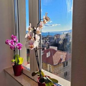 RIJEKA, ŠIRI CENTAR – kompletno opremljen stan, idealan za investiciju
