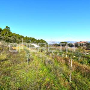 Rijetka prilika – zemljište 3.112 m², Dol, otok Hvar