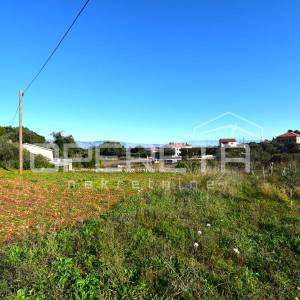 Rijetka prilika – zemljište 3.112 m², Dol, otok Hvar