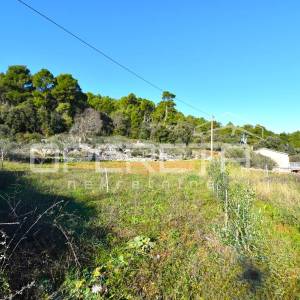 Rijetka prilika – zemljište 3.112 m², Dol, otok Hvar