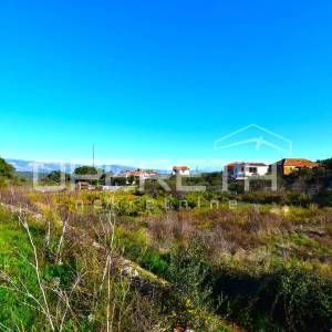 Rijetka prilika – zemljište 3.112 m², Dol, otok Hvar