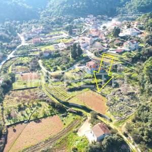 Rijetka prilika – zemljište 3.112 m², Dol, otok Hvar