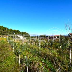Rijetka prilika – zemljište 3.112 m², Dol, otok Hvar