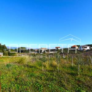 Rijetka prilika – zemljište 3.112 m², Dol, otok Hvar