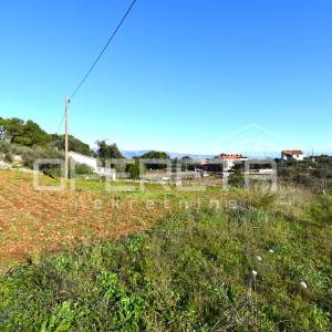 Rijetka prilika – zemljište 3.112 m², Dol, otok Hvar