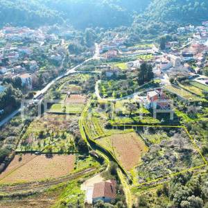 Rijetka prilika – zemljište 3.112 m², Dol, otok Hvar