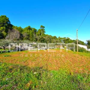 Rijetka prilika – zemljište 3.112 m², Dol, otok Hvar