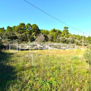 Rijetka prilika – zemljište 3.112 m², Dol, otok Hvar
