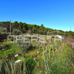 Rijetka prilika – zemljište 3.112 m², Dol, otok Hvar