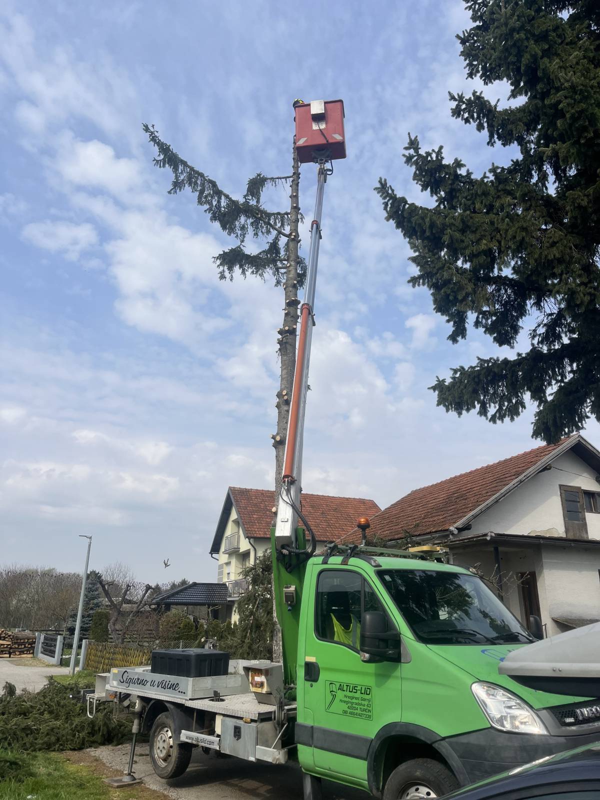 Rušenje drveća auto košarom-granu po granu
