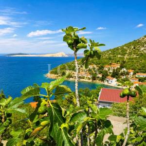 Starigrad-Senj- šarmantna kuća nadomak mora